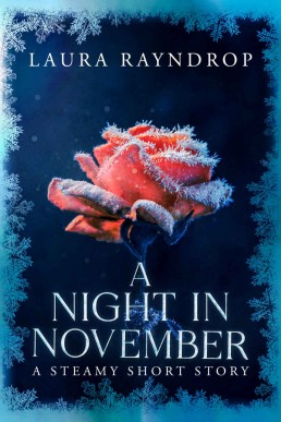 A Night in November (The Wizard and the Welshman 1.1)
