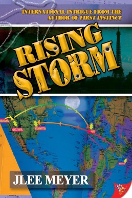 Rising Storm (Stryker & Grove #2)