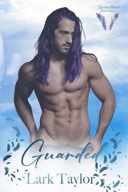 Guarded (Hopeless Blessed 3)