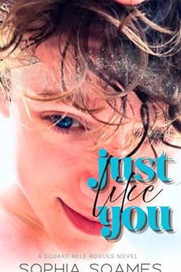 Just Like You (Square Mile Rogues 2)