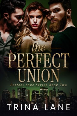 The Perfect Union (The Perfect Love Book 2)