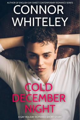 Cold December Night: A Gay Holiday Romance Short Story (The English Gay Sweet Contemporary Romance Stories)