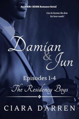 Damian & Jun, Episodes 1-4 (The Residency Boys 6)
