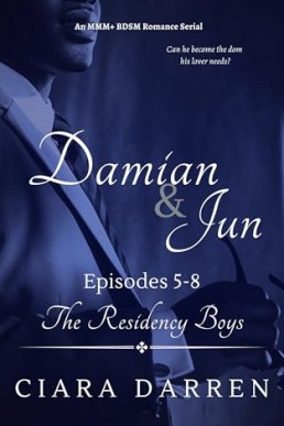 Damian & Jun, Episodes 5-8 (The Residency Boys 7)