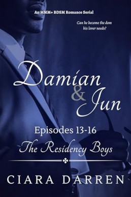 Damian & Jun, Episodes 13-16 (The Residency Boys 9)