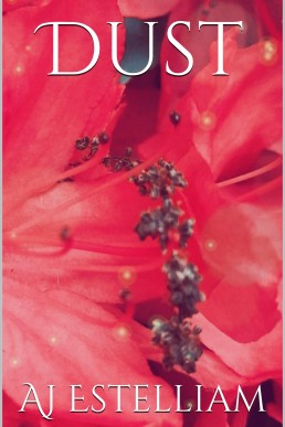 Dust