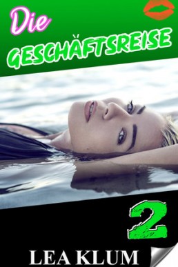 Die Geschäftsreise Band 2
