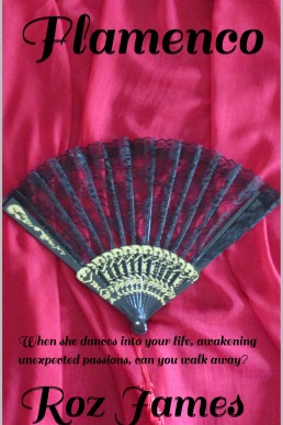 Flamenco: When she dances into your life, awakening unexpected passions, can you walk away?
