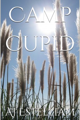 Camp Cupid