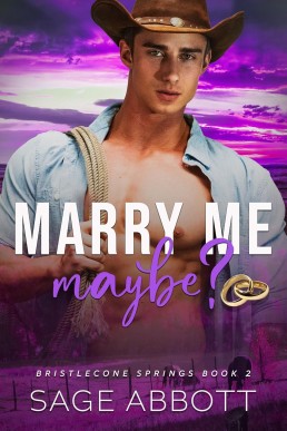 Marry Me, Maybe? (Bristlecone Springs 2)