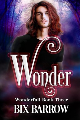 Wonder (Wonderfall 3)