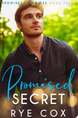 Promised Secret (Promises, Promises 3)
