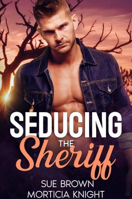 Seducing the Sheriff (Charming Butte Book 2)