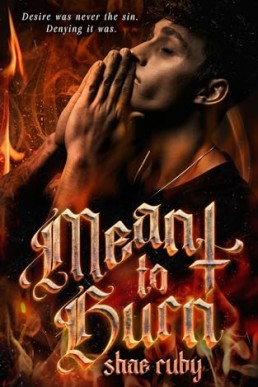 Meant to Burn