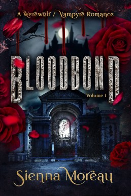 Bloodbond (Bloodbond 1)