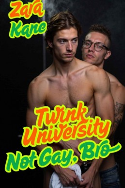 Twink University: Not Gay, Bro  (Twink University 3)