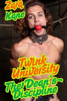 Twink University: The Dean's Discipline  (Twink University 5)