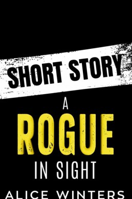 A Rogue in Sight Bonus Short (Vexing Villains 3.1)