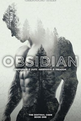 Obsidian (The Sentinel Code 1)