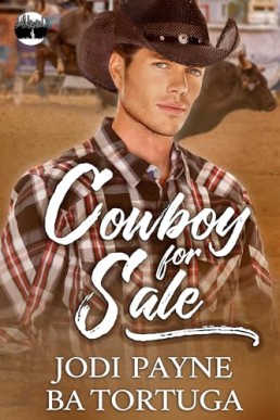 Cowboy for Sale (Wrecked Universe #5)
