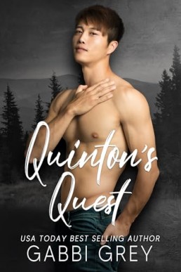Quinton’s Quest (Love in Mission City 6)