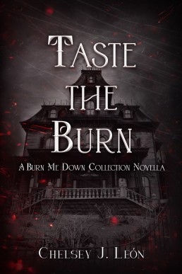 Taste the Burn: A Burn Me Down Novella