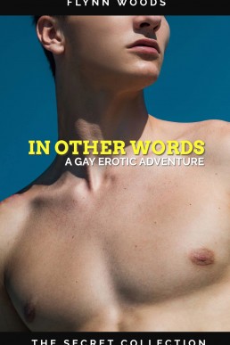 In Other Words (The Secret Collection)