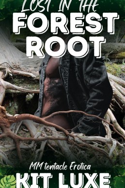 Lost in the Forest Root