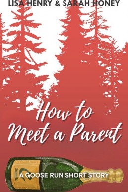How to Meet a Parent (Goose Run 2.1)