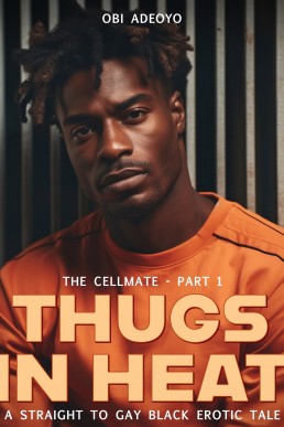 Thugs In Heat: A Straight to Gay Black Erotic Tale