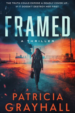 FRAMED: A Thriller