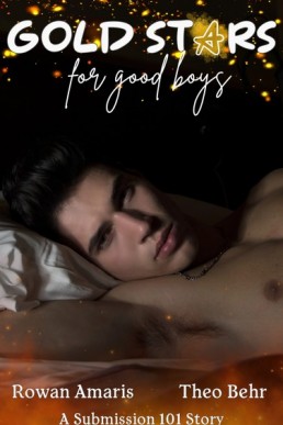 Gold Stars for Good Boys (Submission 101 Book 1.5)