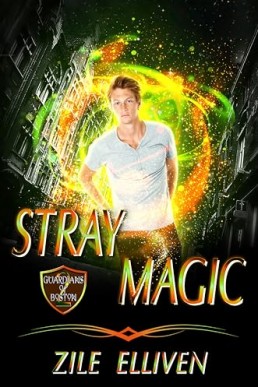 Stray Magic (Guardians of Boston 2)