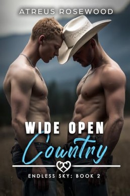 Wide Open Country (Endless Sky 2)