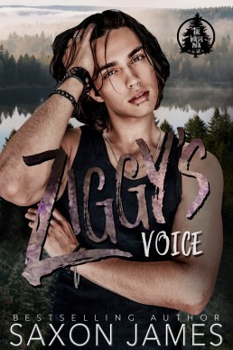 Ziggy's Voice (The Wilde Men 2)