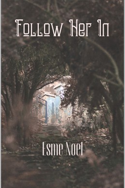 Follow Her In: The Unseen - Book 1