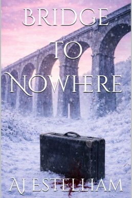 Bridge to Nowhere: Emerson and Snow, #5