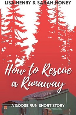 How to Rescue a Runaway (Goose Run 3.1)