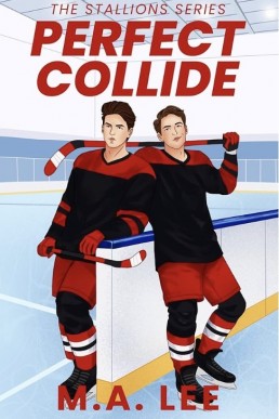 Perfect Collide (The Stallions)