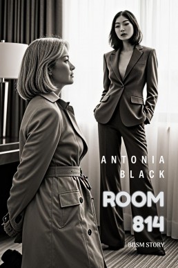 ROOM 814: BDSM Story
