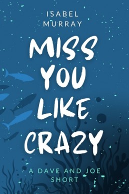 Miss You Like Crazy (Ebb and Flow 1.1)
