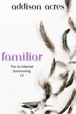 Familiar (The Accidental Summoning 1.5)