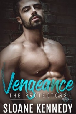 Vengeance (Protectors 5) New Cover