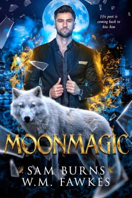 Moonmagic (Witchwolf 2)