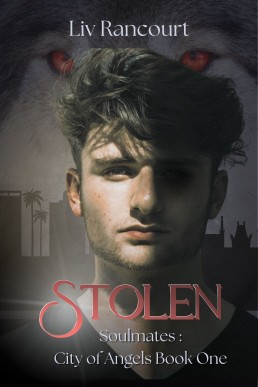 Stolen (Soulmates: City of Angels 1)