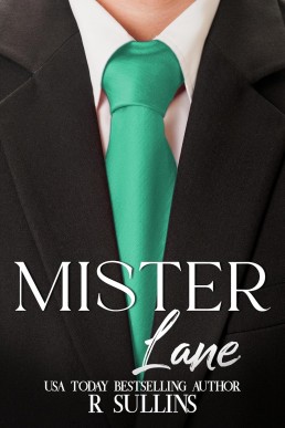 Mister Lane (CEOs of Kink)