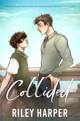 Collided  (The Blackbird Boys 2)