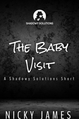 The Baby Visit (Shadowy Solutions 5.1)