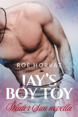 Jay's Boy Toy (Winter Sun Novella)