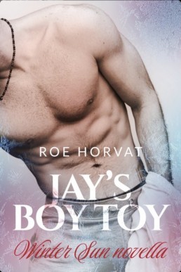 Jay's Boy Toy (Winter Sun Novella)